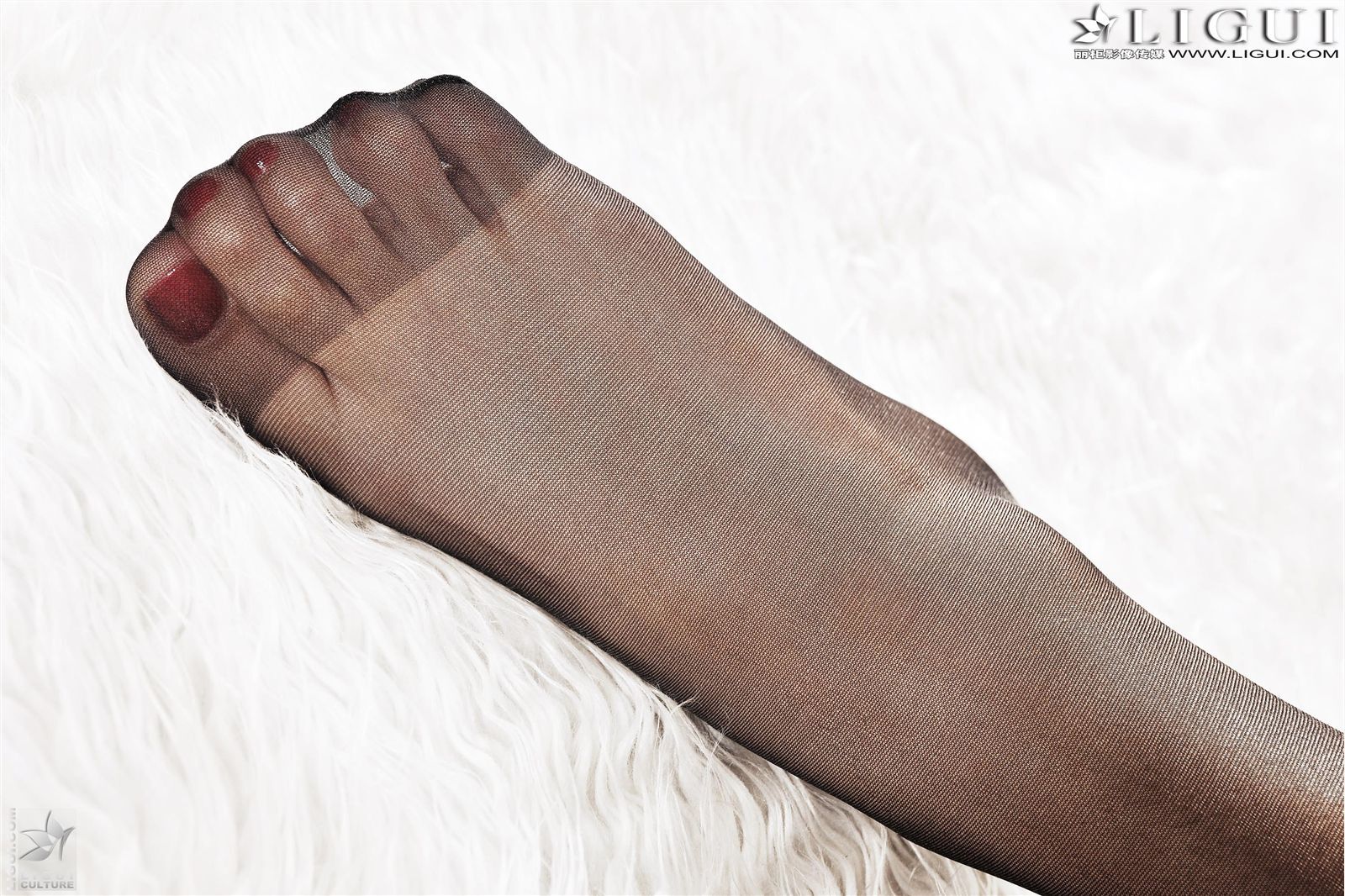 [Ligui丽柜]130207 Model 安娜  性感丝袜美女图片